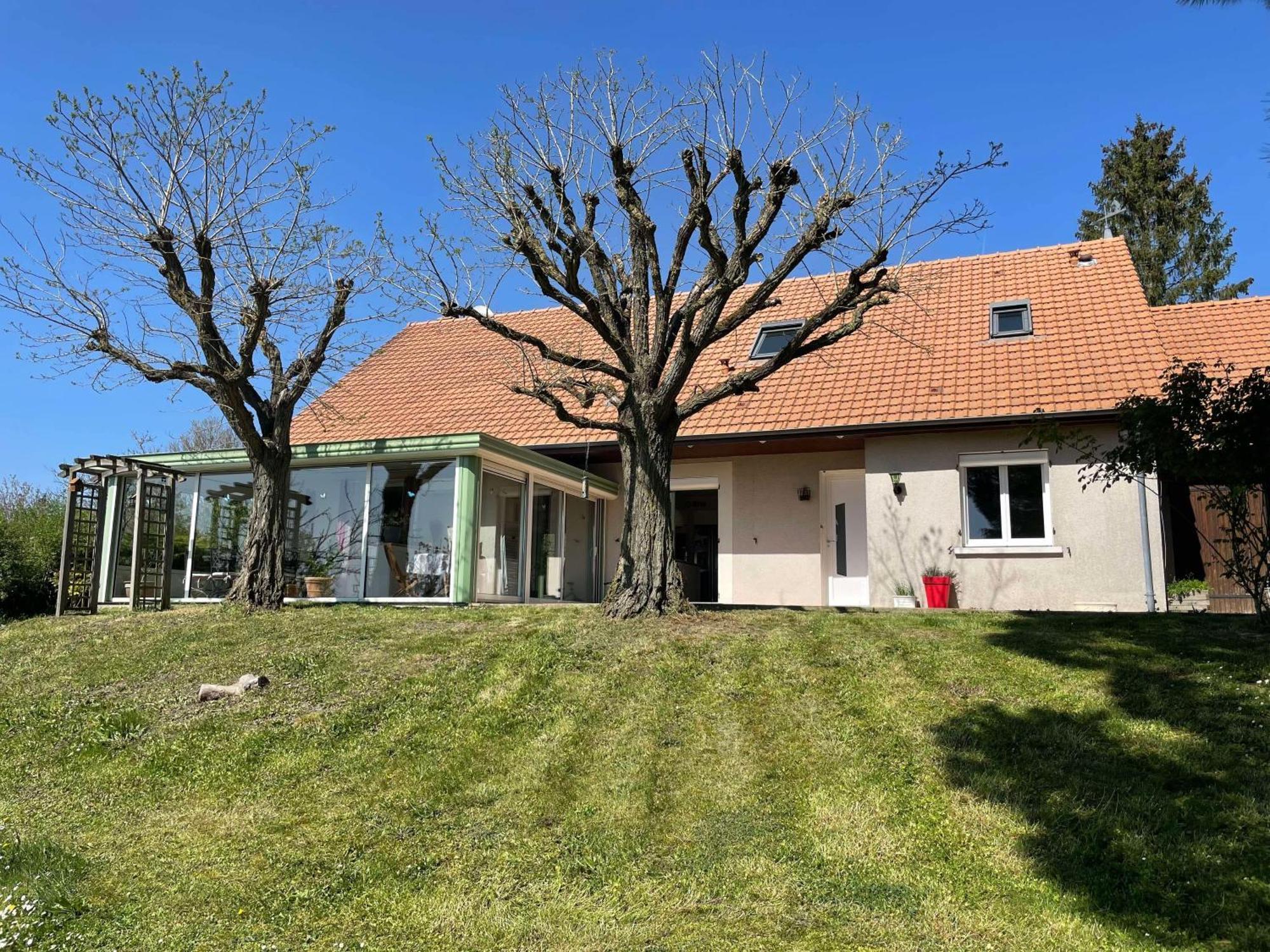 Des Roux Et Des Pious Suite De 35 A 60 M2 Et 3 Chambres Pour Groupe De 2 A 6 Personnes Civray-de-Touraine Exterior photo